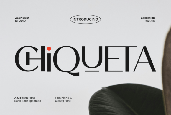 Chiqueta: A Modern Sans Serif Font for Elegant Handmade Product Design