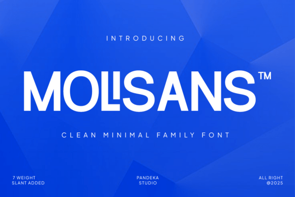 Molisans: A Clean Sans Serif Font for Modern Branding Projects